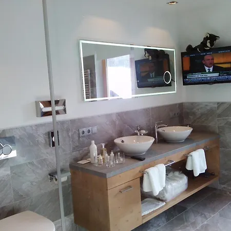 فيرجينر فندق 3*