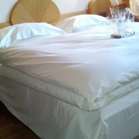 Vergeiner Отель 3*
