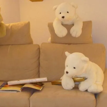 فندق فيرجينر