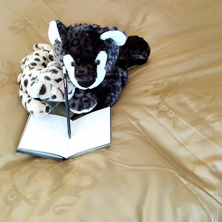 Hotel Vergeiner Seefeld in Tirol